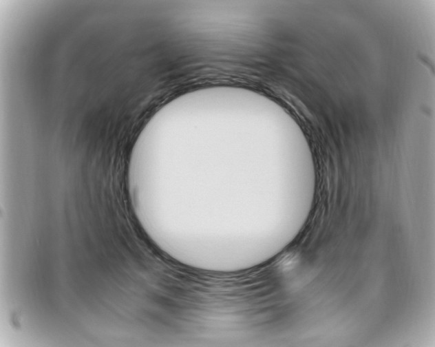X0000096440513200801241121