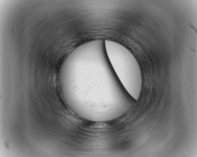 X0000096440514200801241121