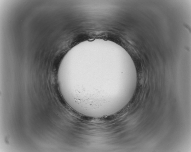 X0000096440515200801241121