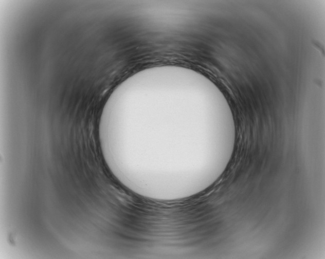 X0000096440520200801241121