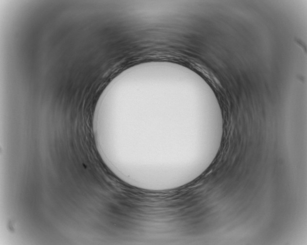 X0000096440521200801241121
