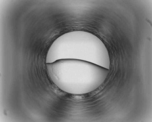 X0000096440522200801241121