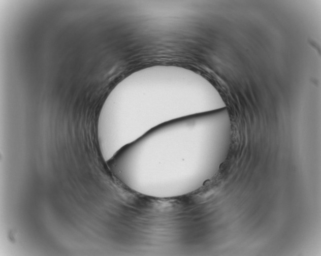 X0000096440523200801241121