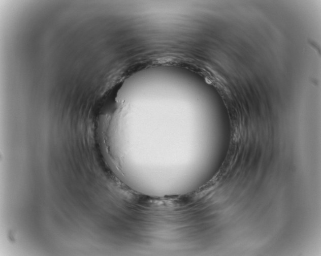 X0000096440524200801241121