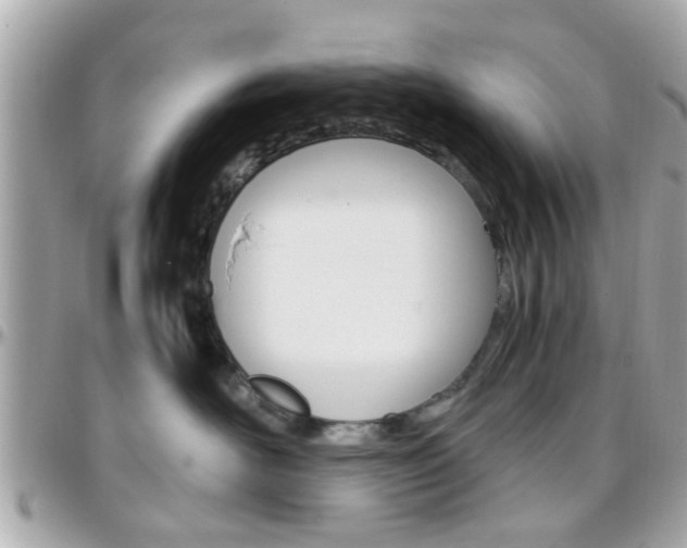 X0000096440526200801241120
