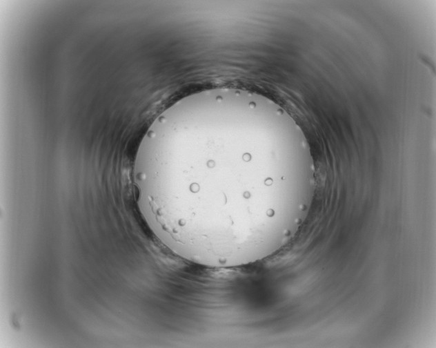 X0000096440527200801241120