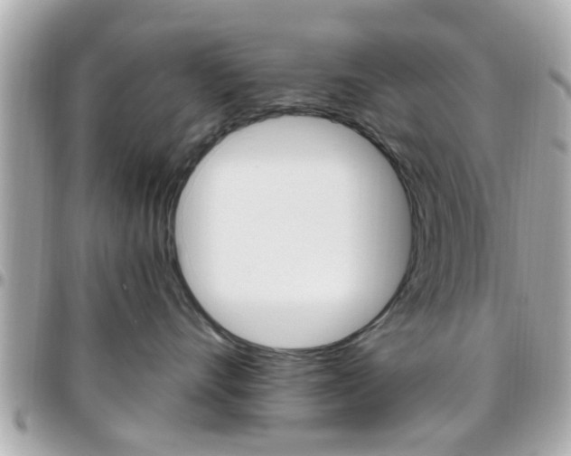 X0000096440528200801241120