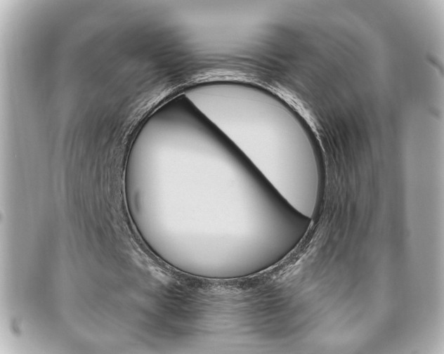 X0000096440529200801241120