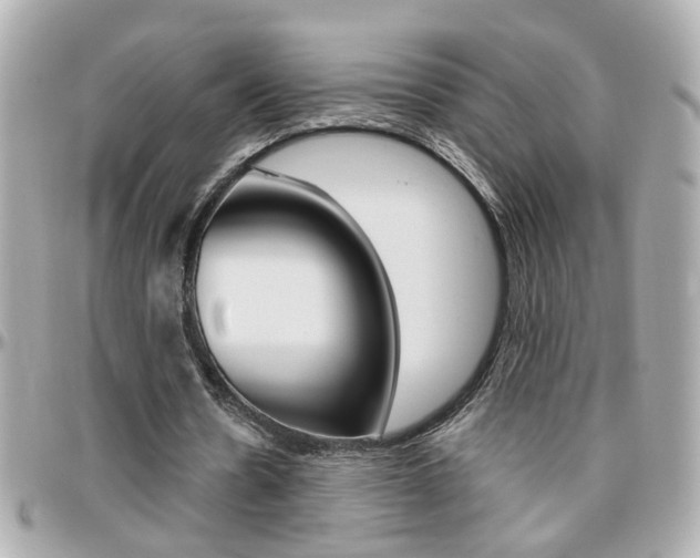 X0000096440530200801241120
