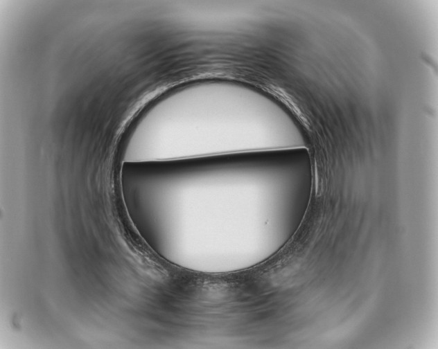 X0000096440531200801241120