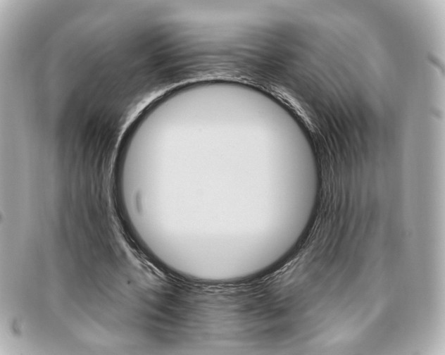X0000096440532200801241120
