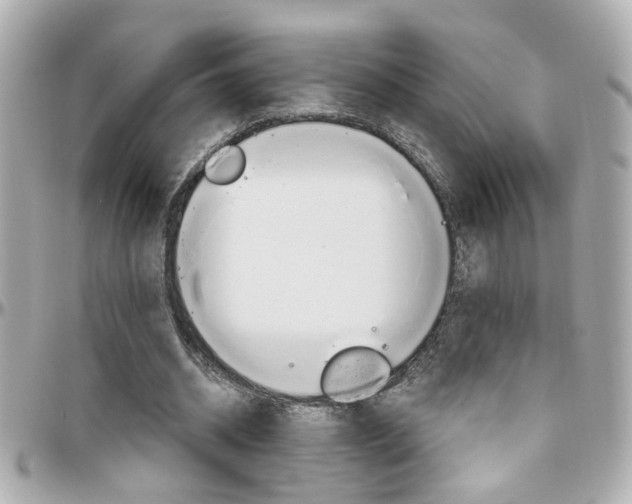 X0000096440534200801241120