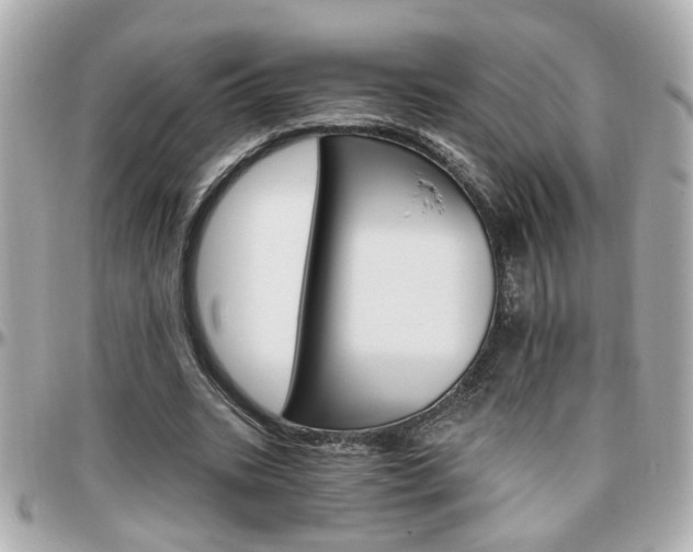 X0000096440535200801241120