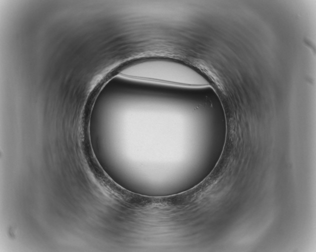 X0000096440536200801241120