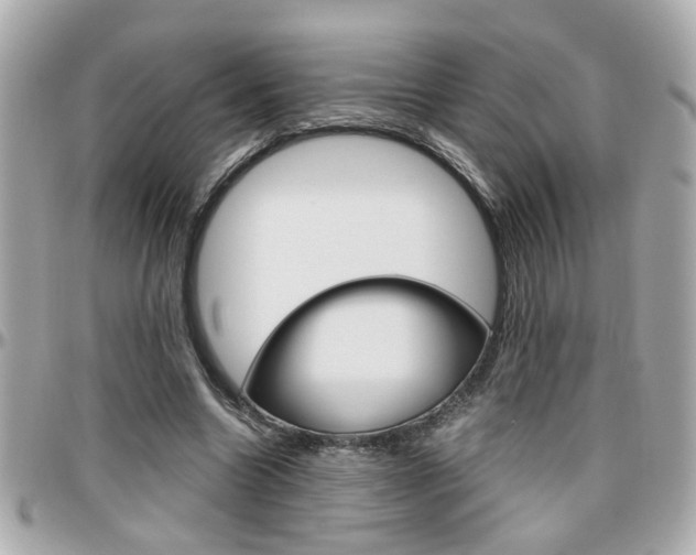 X0000096440538200801241120