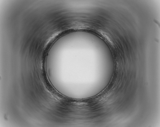 X0000096440539200801241120
