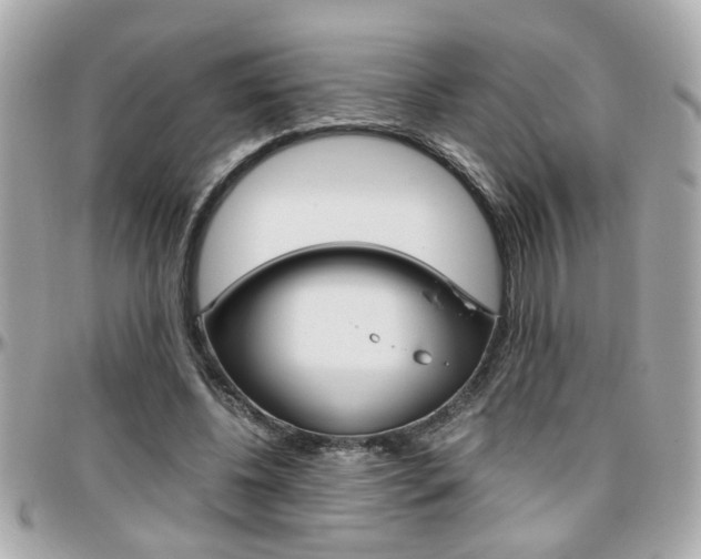 X0000096440540200801241120