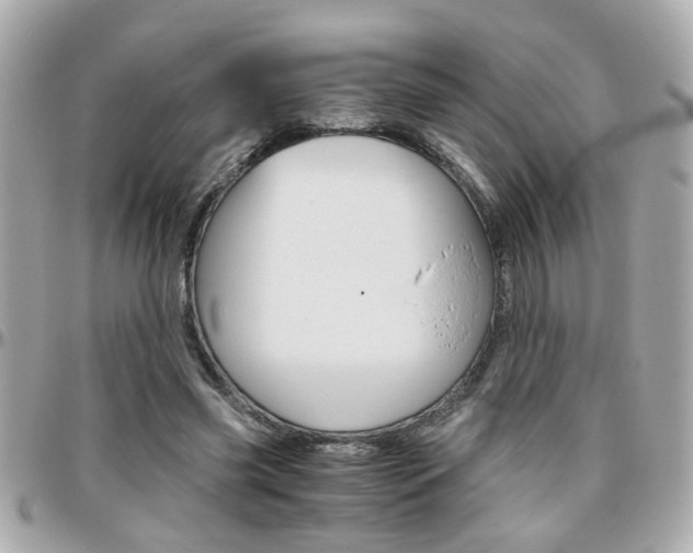 X0000096440541200801241120