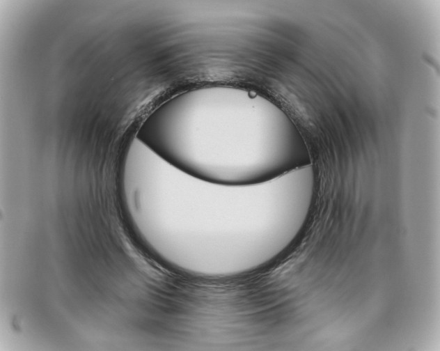 X0000096440542200801241120