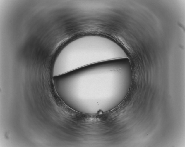 X0000096440543200801241120