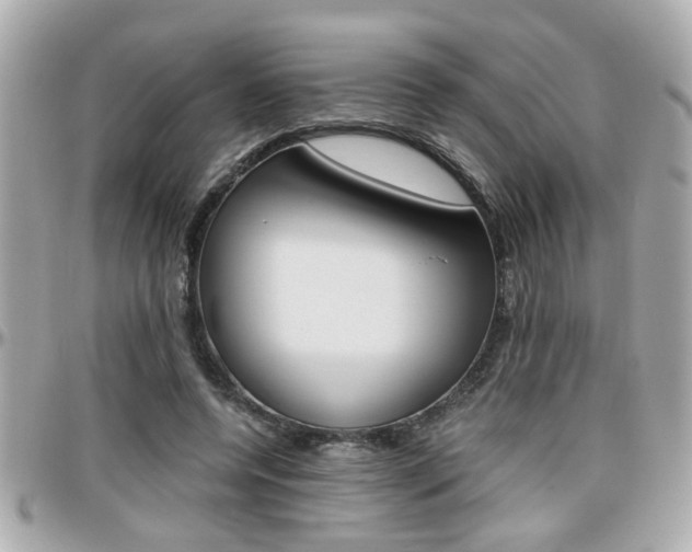X0000096440544200801241120