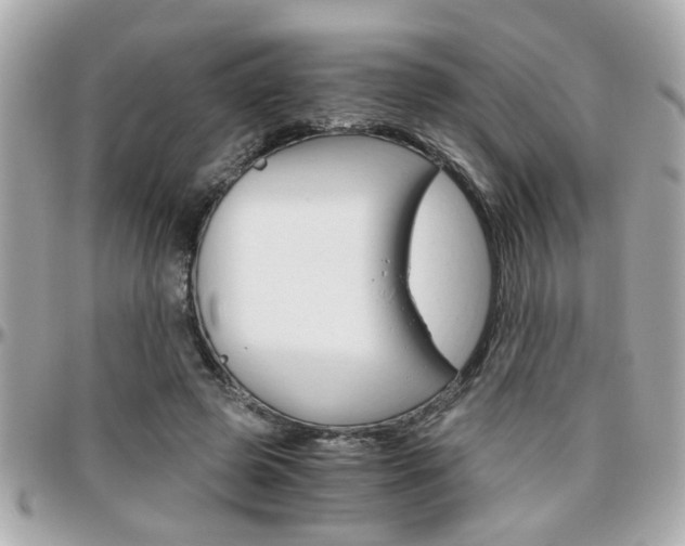 X0000096440545200801241120
