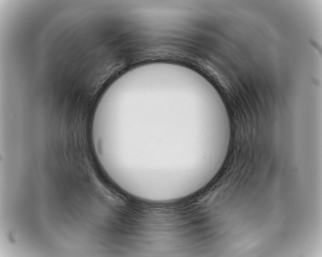 X0000096440546200801241120