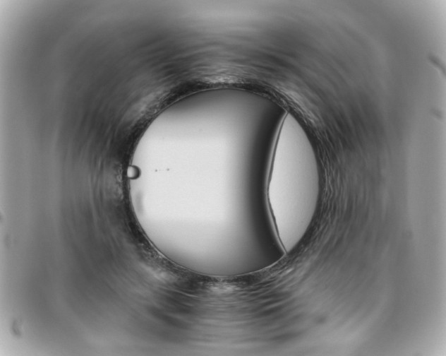 X0000096440547200801241120