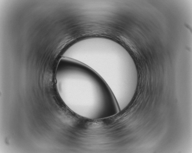 X0000096440548200801241120