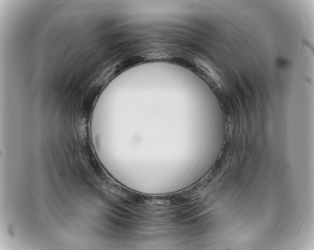 X0000096440549200801241120