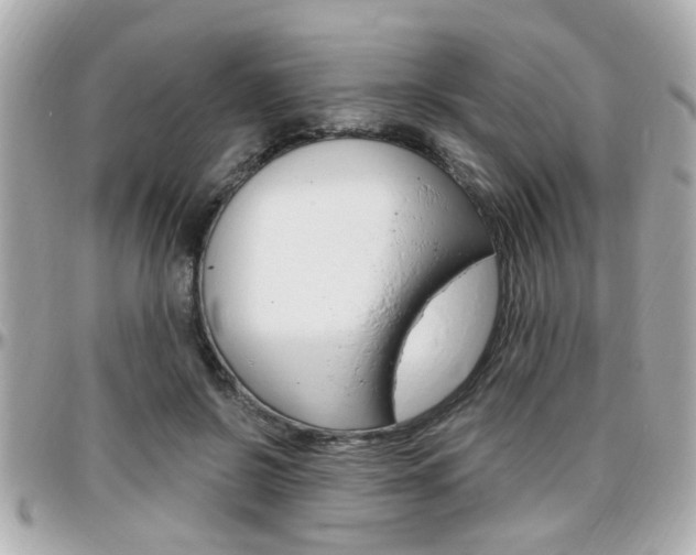 X0000096440550200801241120