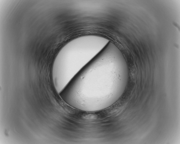 X0000096440551200801241120