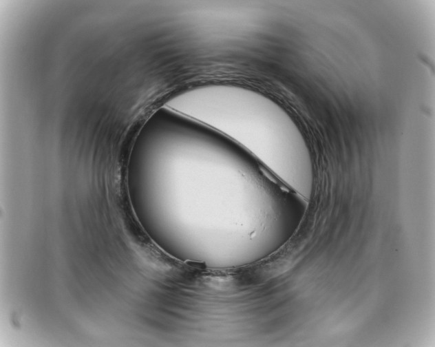X0000096440552200801241120