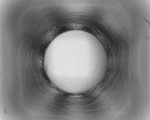 X0000096440553200801241120
