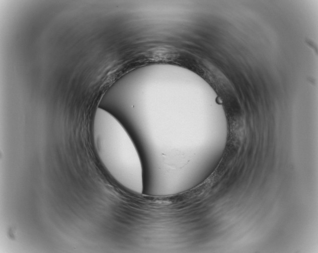 X0000096440554200801241120