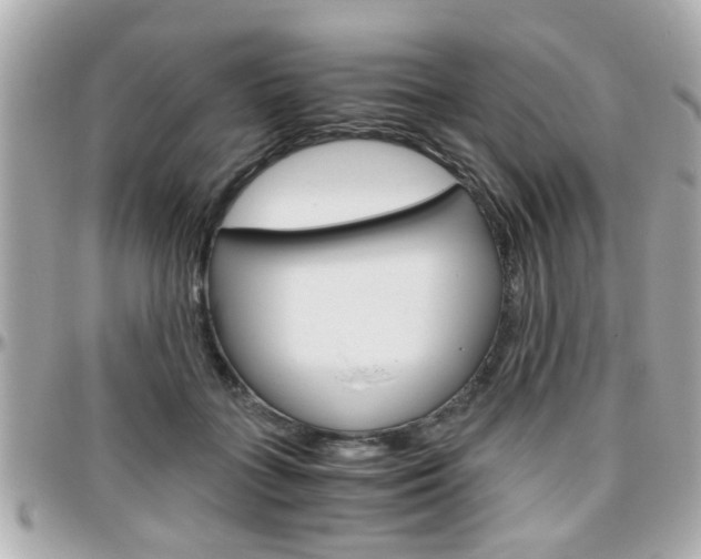 X0000096440555200801241120
