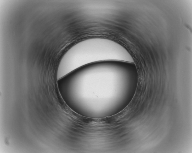 X0000096440556200801241120