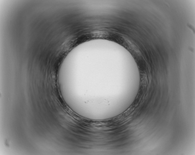 X0000096440557200801241120