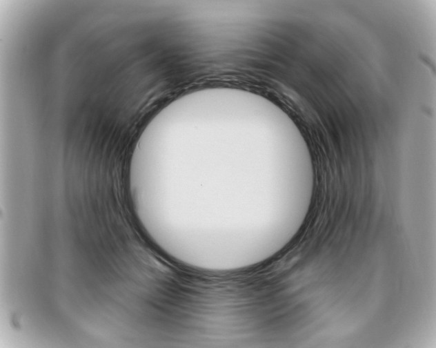 X0000096440558200801241120