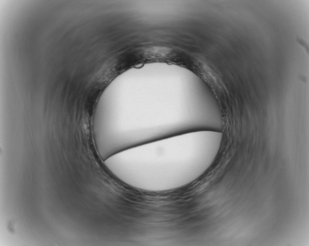 X0000096440561200801241120