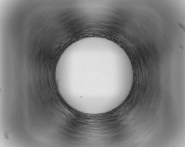 X0000096440562200801241120