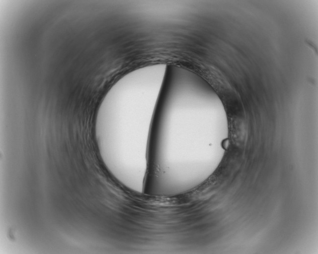 X0000096440563200801241120