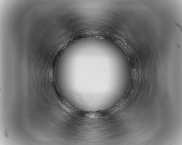 X0000096440564200801241120