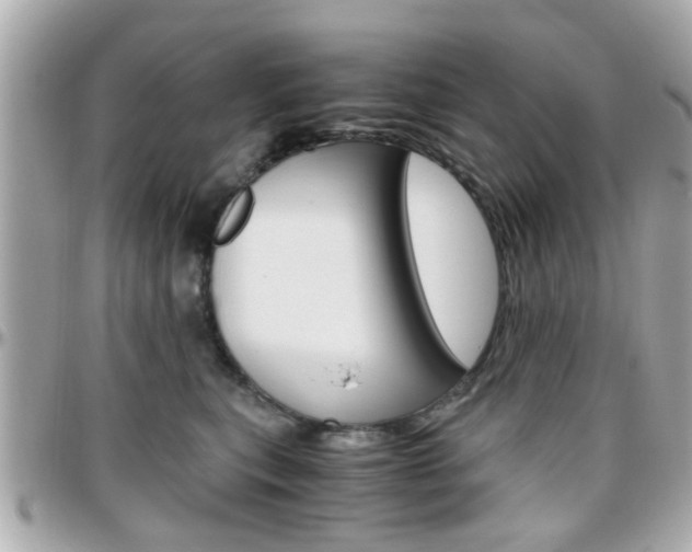 X0000096440567200801241120