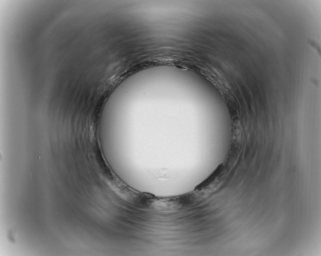 X0000096440568200801241120