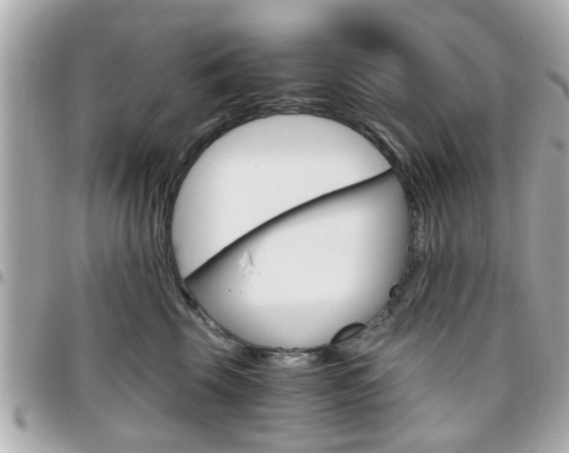 X0000096440569200801241120