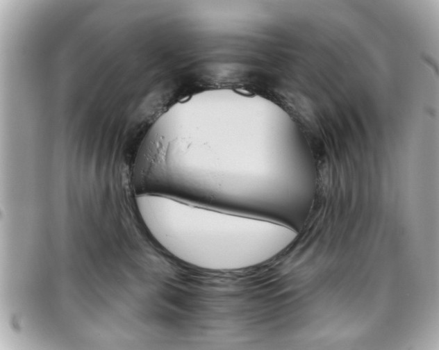 X0000096440571200801241120