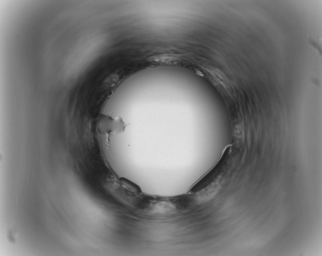 X0000096440572200801241120