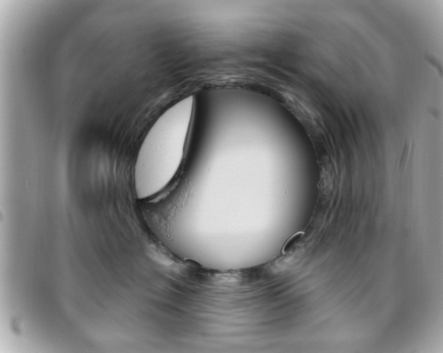 X0000096440574200801241120