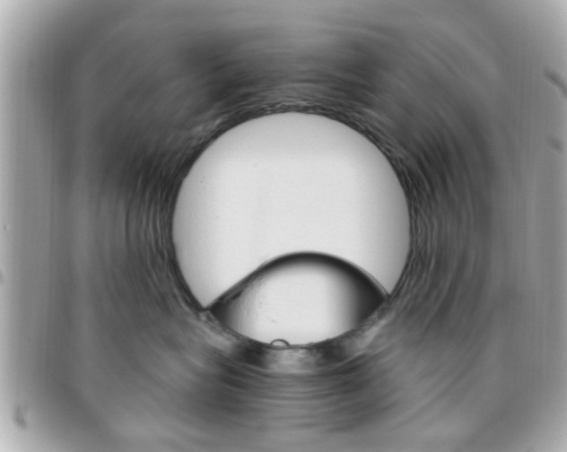 X0000096440575200801241120